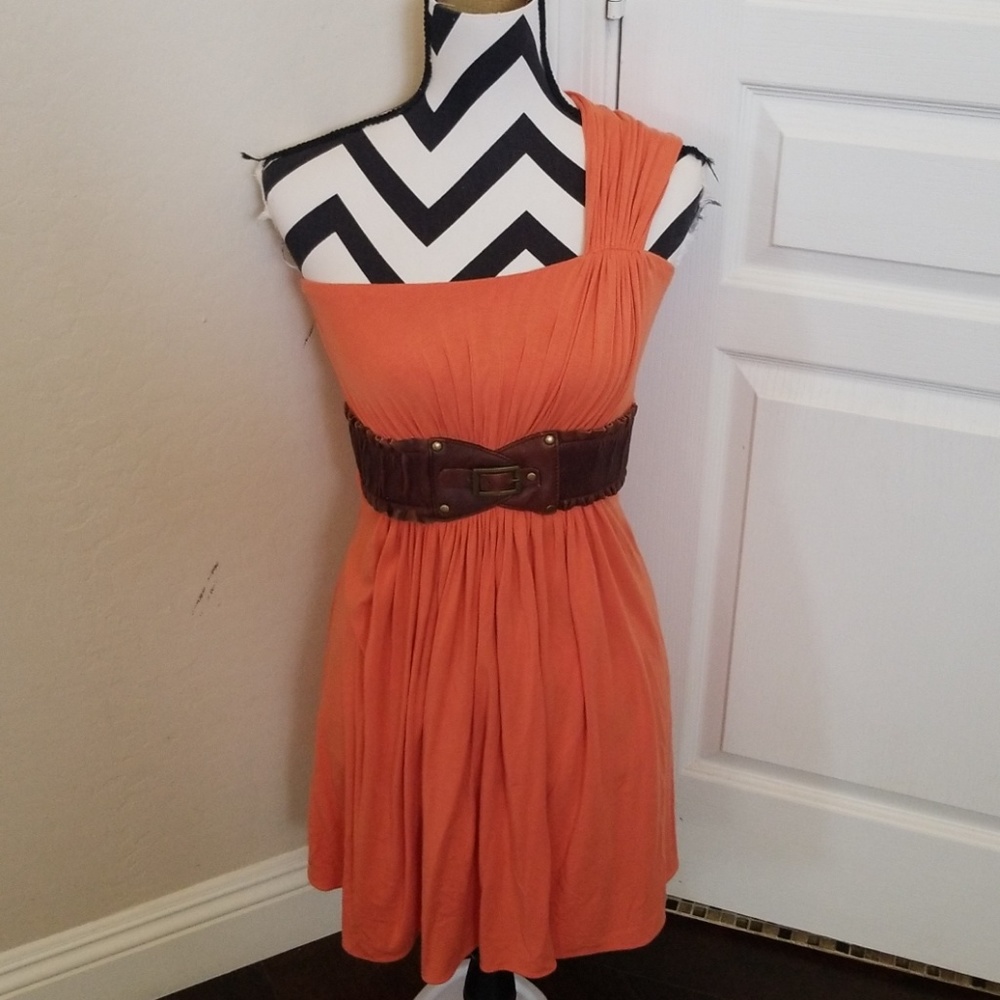 Sky Pumpkin Spice Dress NWOT